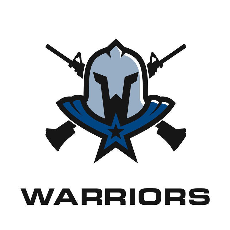 Blue Falcons Logo